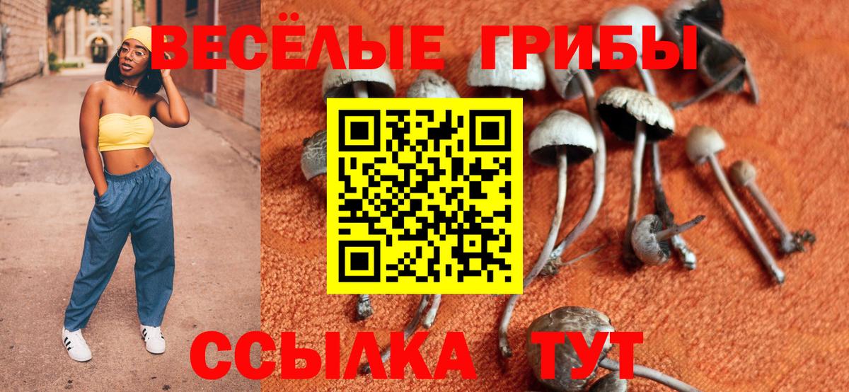 Галлюциногенные грибы GOLDEN TEACHER Георгиевск