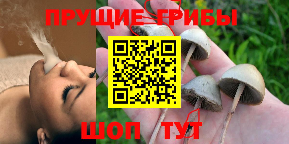 Псилоцибиновые грибы Psilocybine cubensis  Вход с VPN  где можно купить   Георгиевск 